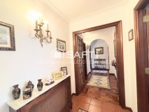 Foto7