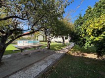 Foto42