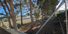 Foto4