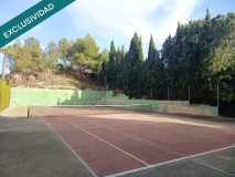 Foto55