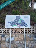 Foto51