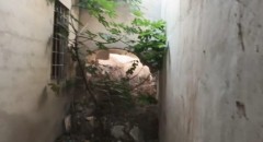 Foto5
