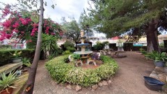 Foto8