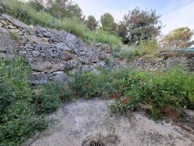 Foto18