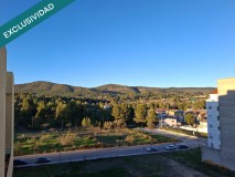 Foto5