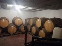 Foto4