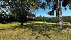 Foto42
