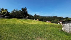 Foto31