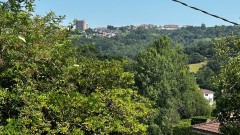 Foto16