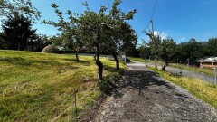 Foto38