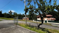 Foto39