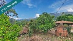 Foto14