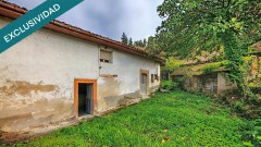 Foto5