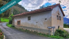 Foto1