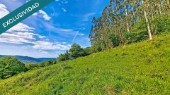 Foto11