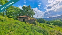 Foto1