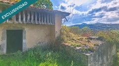 Foto6