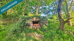Foto8
