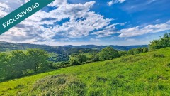 Foto15