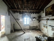 Foto8