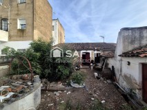 Foto5