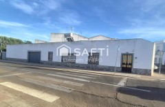 Foto2
