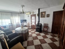 Foto4