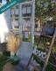 Foto9