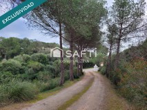 Foto48