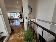 Foto19