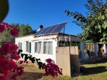 Foto4