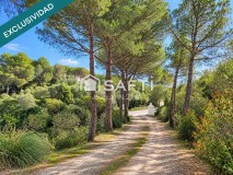 Foto47