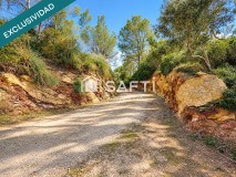 Foto48