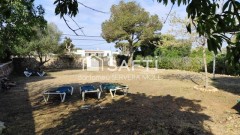 Foto3