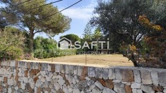 Foto6