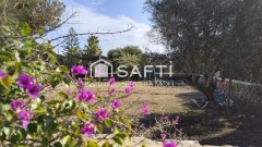 Foto5