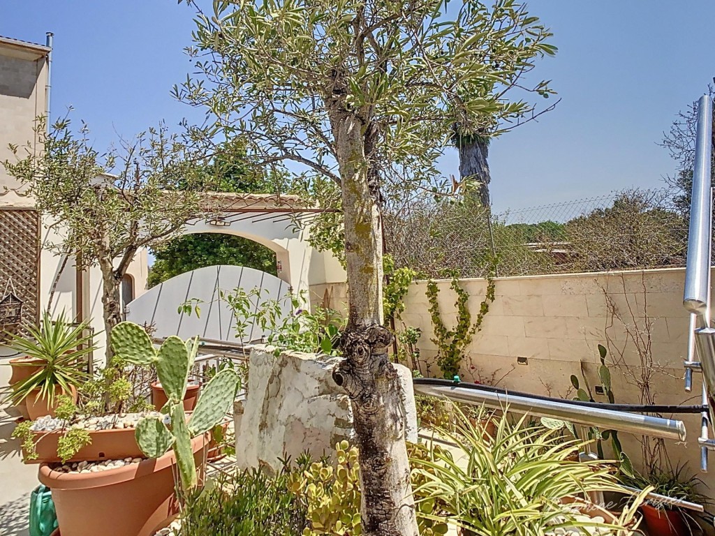 Una joya mallorquina en Alquería Blanca, junto a Santanyí - foto 59