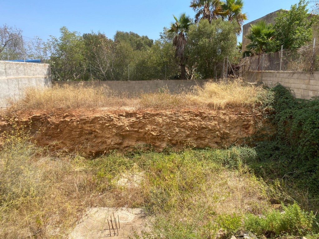 Una joya mallorquina en Alquería Blanca, junto a Santanyí - foto 19
