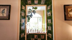 Foto45