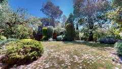 Foto81