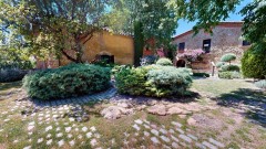 Foto41
