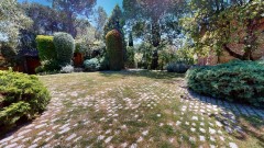 Foto42