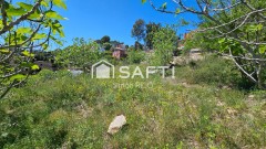 Foto9