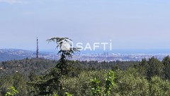 Foto14