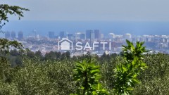 Foto15