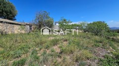 Foto2