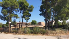 Foto2