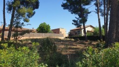 Foto9
