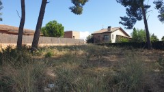 Foto8