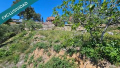 Foto5